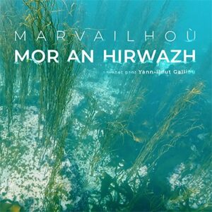 Projection de « Marvailhou Mor an Hirwazh » en présence de Yann-Ildut Galliou